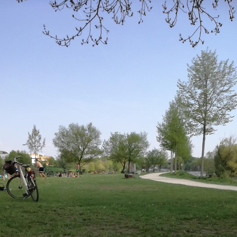 A bicycle parked in a grassy park.